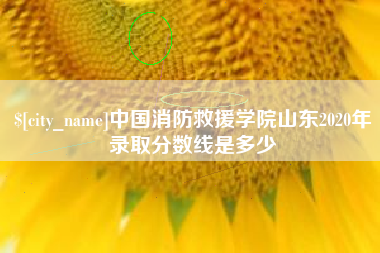 响水中国消防救援学院山东2020年录取分数线是多少
