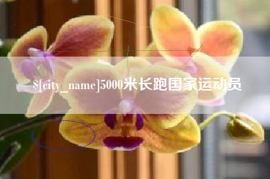 响水5000米长跑国家运动员