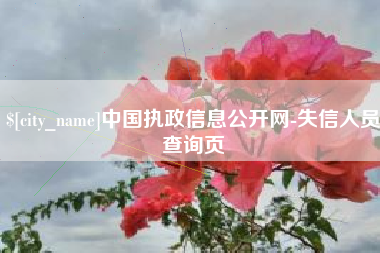 响水中国执政信息公开网-失信人员查询页