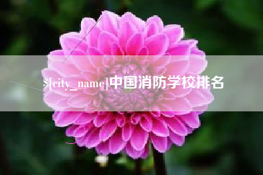响水中国消防学校排名