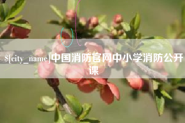 响水中国消防官网中小学消防公开课