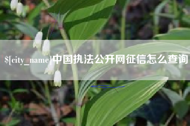 响水中国执法公开网征信怎么查询