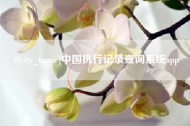 响水中国执行记录查询系统app
