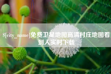 响水免费卫星地图高清村庄地图看到人实时下载