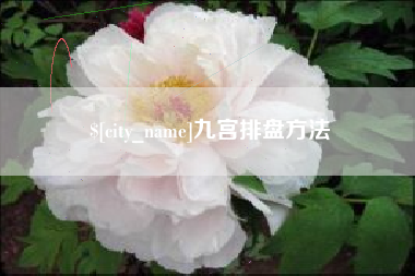 响水九宫排盘方法