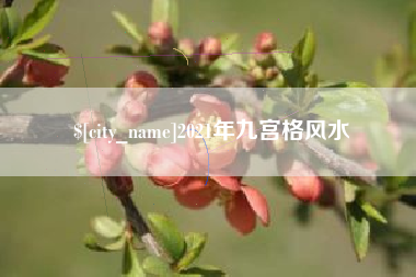 响水2021年九宫格风水