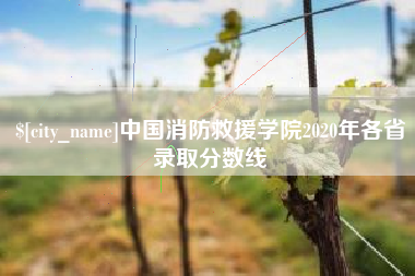 响水中国消防救援学院2020年各省录取分数线