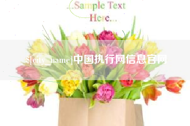 响水中国执行网信息官网