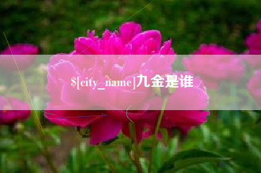 响水九金是谁