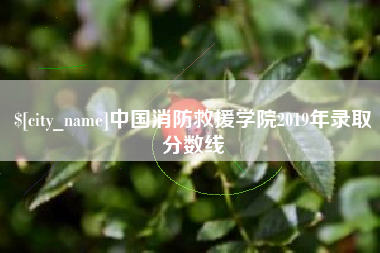 响水中国消防救援学院2019年录取分数线