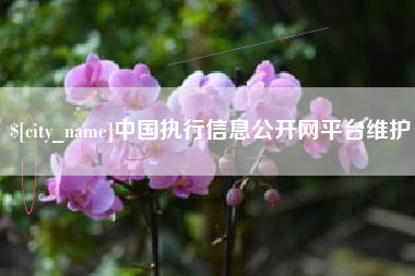 响水中国执行信息公开网平台维护