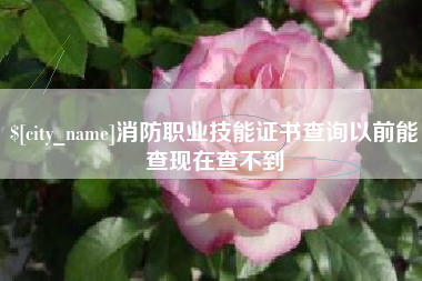 响水消防职业技能证书查询以前能查现在查不到