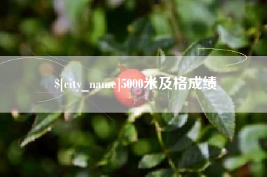 响水5000米及格成绩
