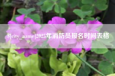 响水2025年消防员报名时间表格