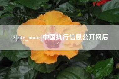 响水中国执行信息公开网后