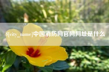 响水中国消防网官网网址是什么