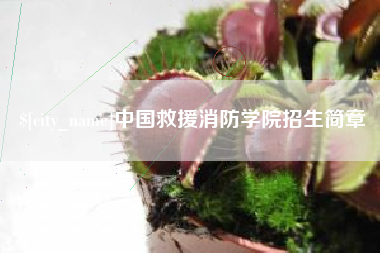 响水中国救援消防学院招生简章