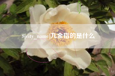 响水九金指的是什么