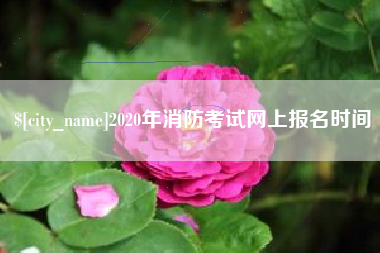 响水2020年消防考试网上报名时间