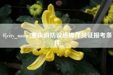 响水重庆消防设施操作员证报考条件