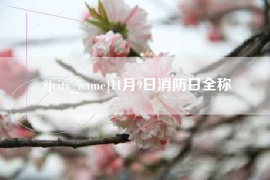 响水11月9日消防日全称