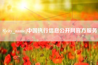 响水中国执行信息公开网官方服务