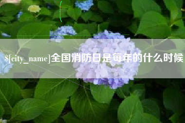 响水全国消防日是每年的什么时候