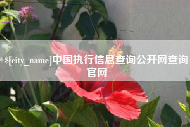 响水中国执行信息查询公开网查询官网