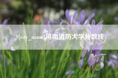 响水河南消防大学分数线