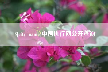 响水中国执行网公开查询