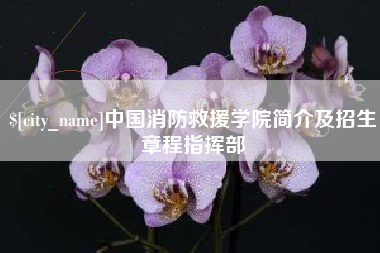 响水中国消防救援学院简介及招生章程指挥部