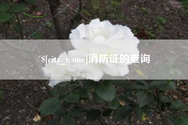 响水消防证的查询