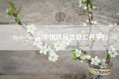 响水中国执行信息公开平台
