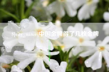 响水中国金牌得了几枚金牌