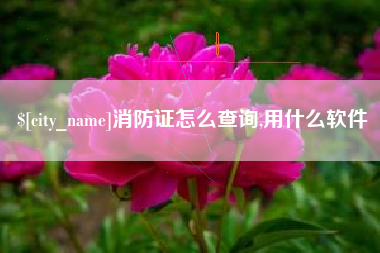 响水消防证怎么查询,用什么软件