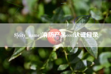 响水消防产品cccf认证目录