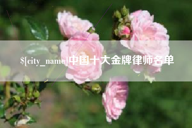 响水中国十大金牌律师名单