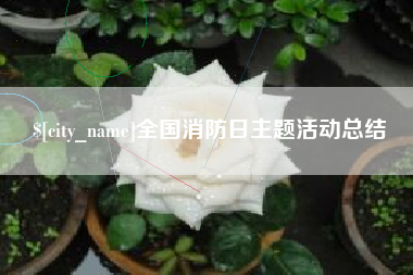 响水全国消防日主题活动总结