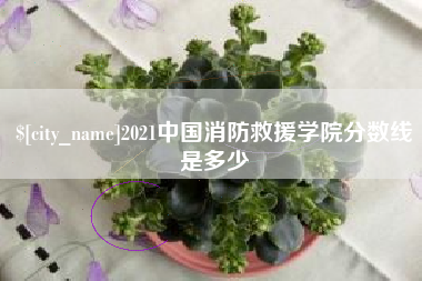 响水2021中国消防救援学院分数线是多少