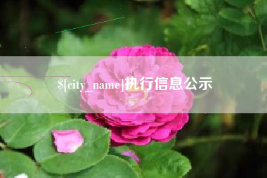 响水执行信息公示