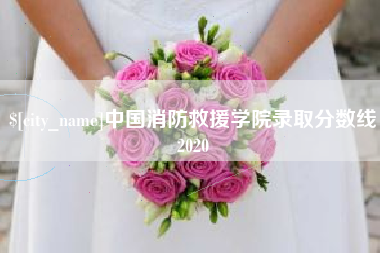 响水中国消防救援学院录取分数线2020