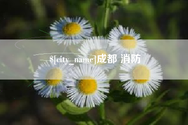 响水成都 消防