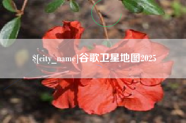 响水谷歌卫星地图2025