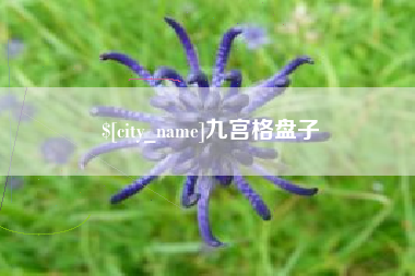 响水九宫格盘子