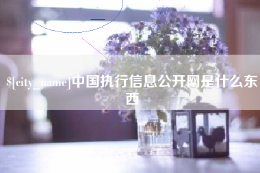 响水中国执行信息公开网是什么东西