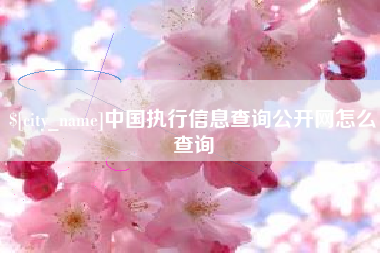 响水中国执行信息查询公开网怎么查询