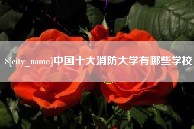响水中国十大消防大学有哪些学校