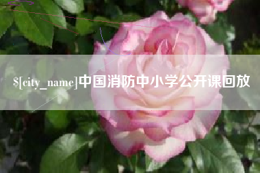 响水中国消防中小学公开课回放