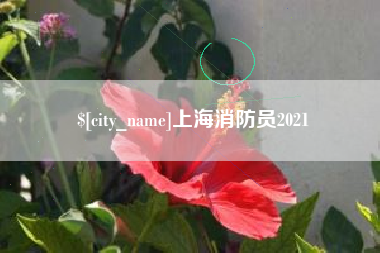 响水上海消防员2021