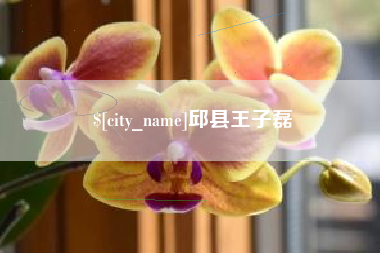响水邱县王子磊
